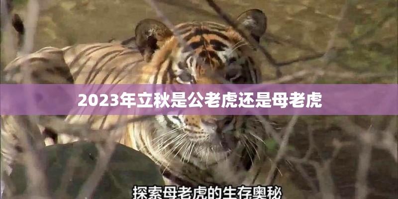 十首最好听的英文歌曲有哪些？