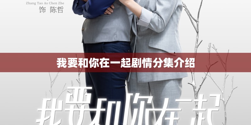 我要和你在一起剧情分集介绍