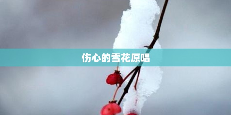 伤心的雪花原唱