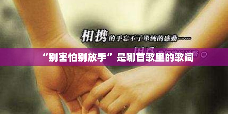“别害怕别放手”是哪首歌里的歌词