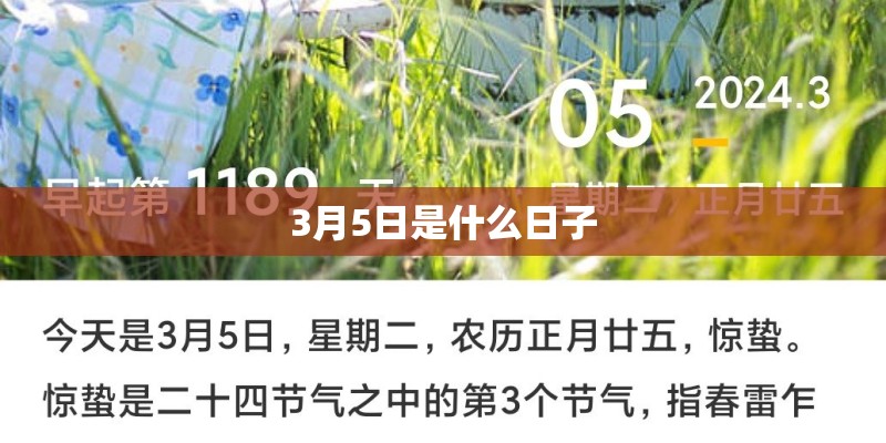 3月5日是什么日子