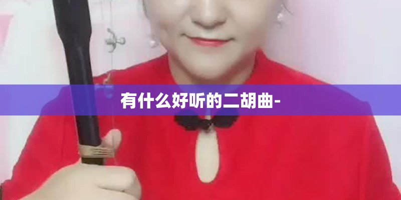 有什么好听的二胡曲-