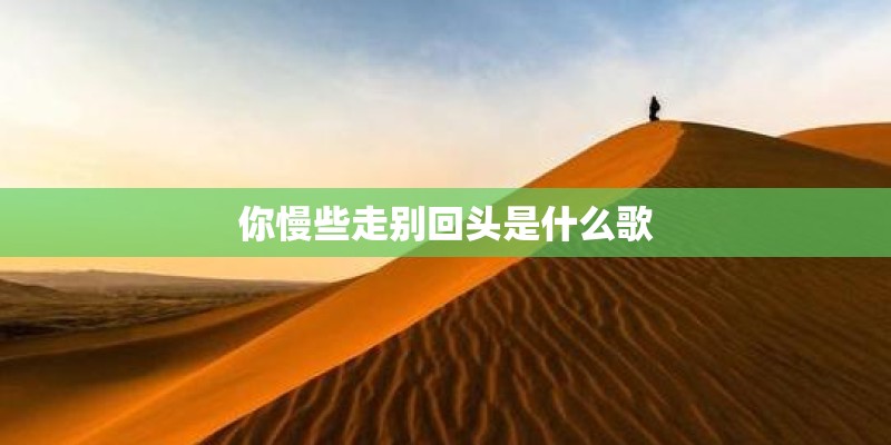 你慢些走别回头是什么歌