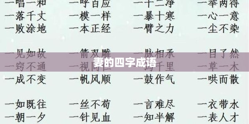 妻的四字成语 妻的四字成语