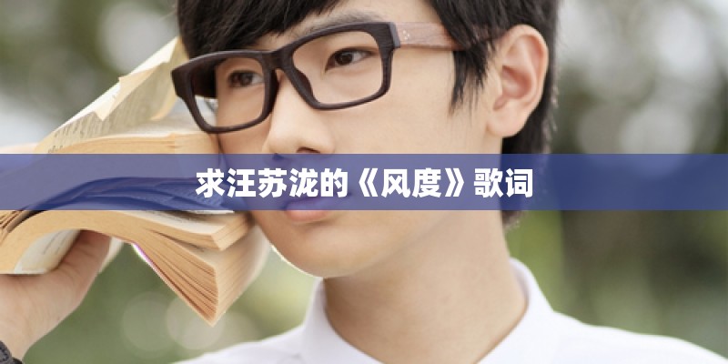 求汪苏泷的《风度》歌词
