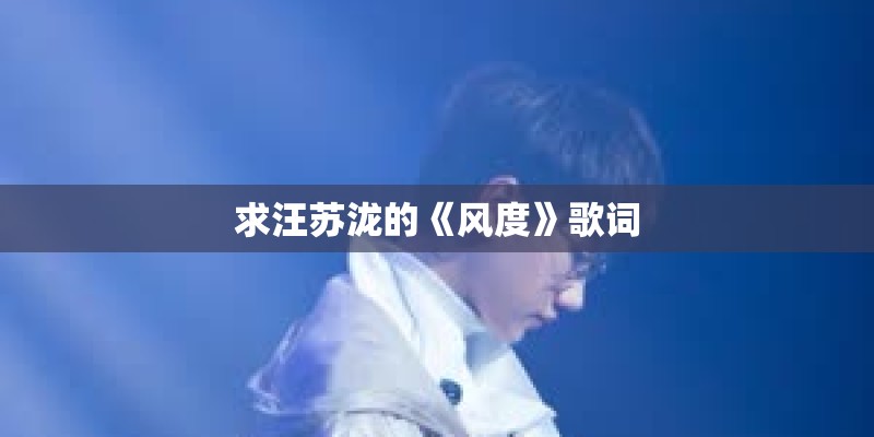 求汪苏泷的《风度》歌词