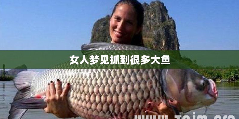姓潘的名人