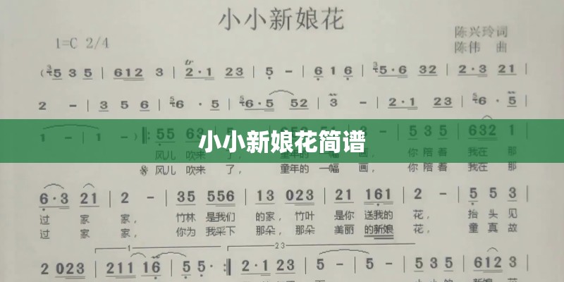 小小新娘花简谱