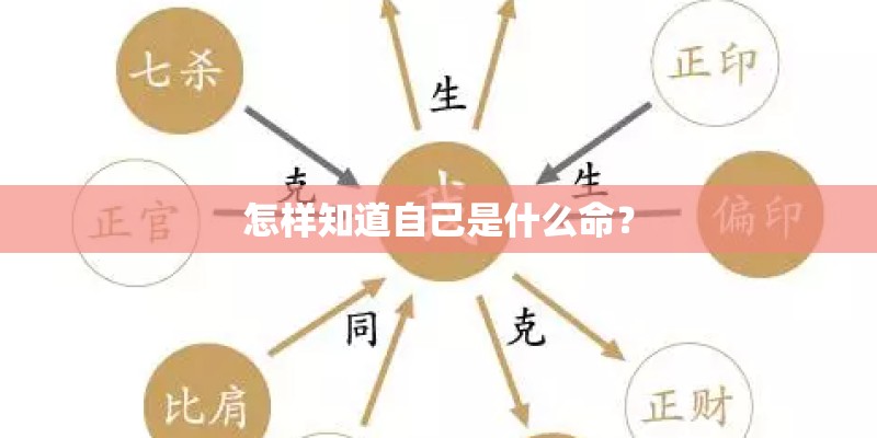 怎样知道自己是什么命？