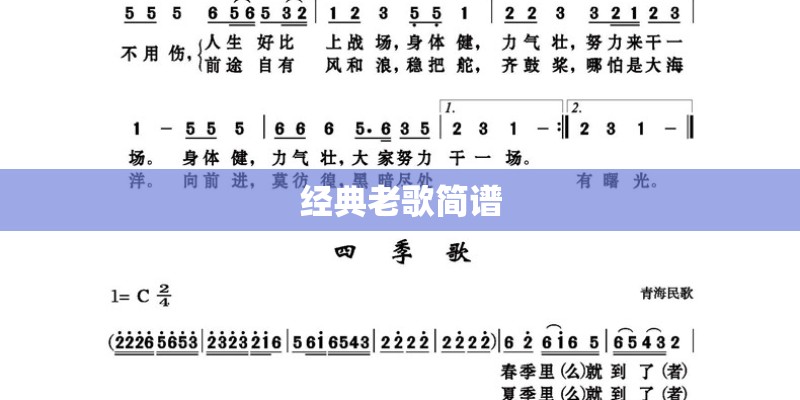 经典老歌简谱