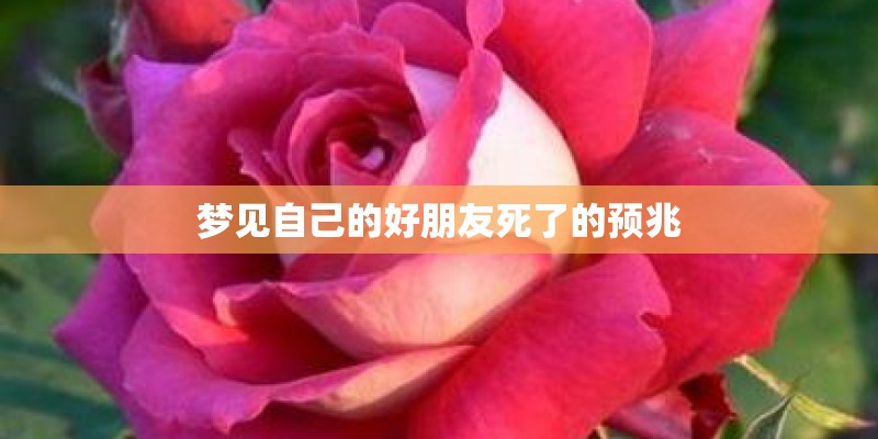 梦见自己的好朋友死了的预兆
