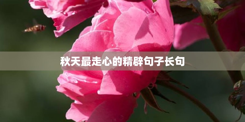 什么是流年运程