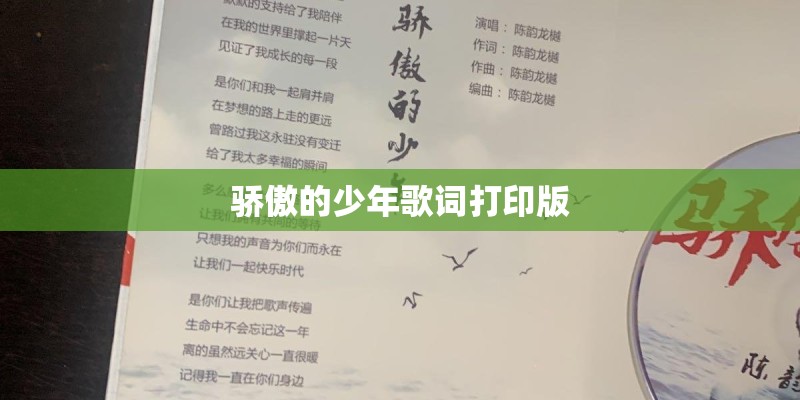 骄傲的少年歌词打印版 骄傲的少年歌词打印版