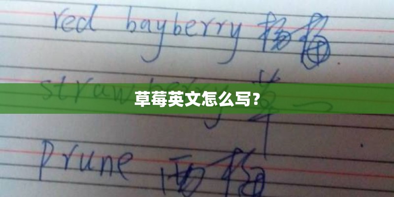 草莓英文怎么写？