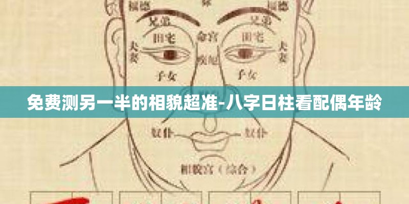 免费测另一半的相貌超准-八字日柱看配偶年龄