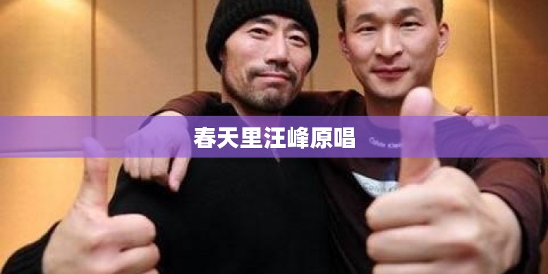 春天里汪峰原唱 春天里汪峰原唱
