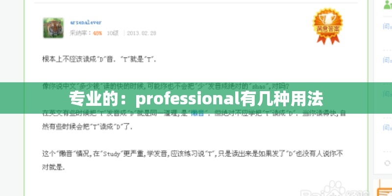专业的：professional有几种用法
