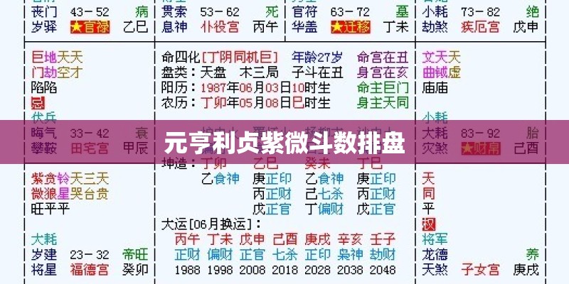 元亨利贞紫微斗数排盘