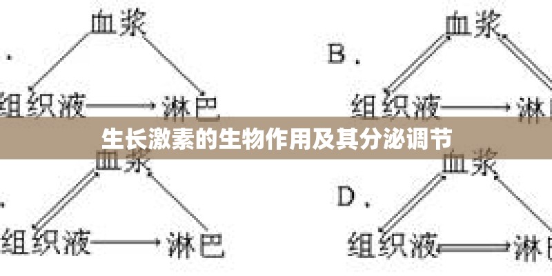 生长激素的生物作用及其分泌调节