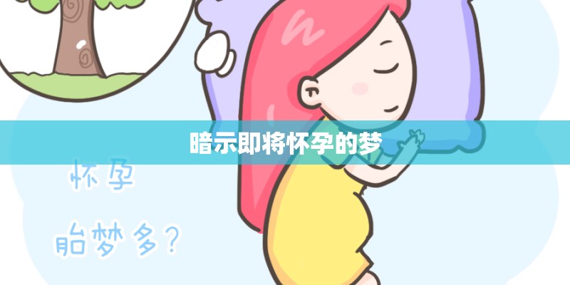 暗示即将怀孕的梦