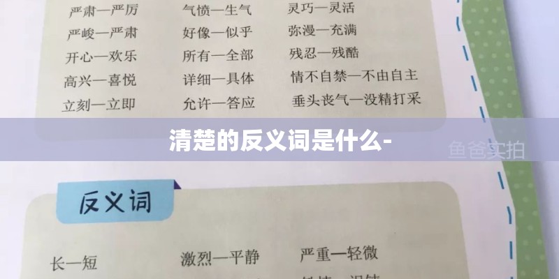 清楚的反义词是什么-