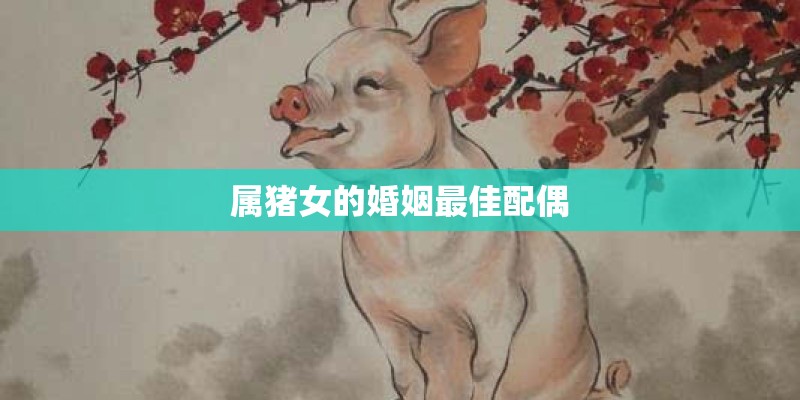 属猪女的婚姻最佳配偶